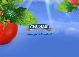 Chumak Corporate Digital Ecosystem Development
